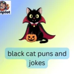 black cat puns and jokes
