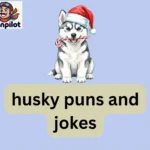 husky puns and jokes