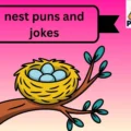 473+ Eggcellent Nest Puns and Jokes That Will Crack You Up ๐ฆ