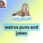 walrus puns and jokes