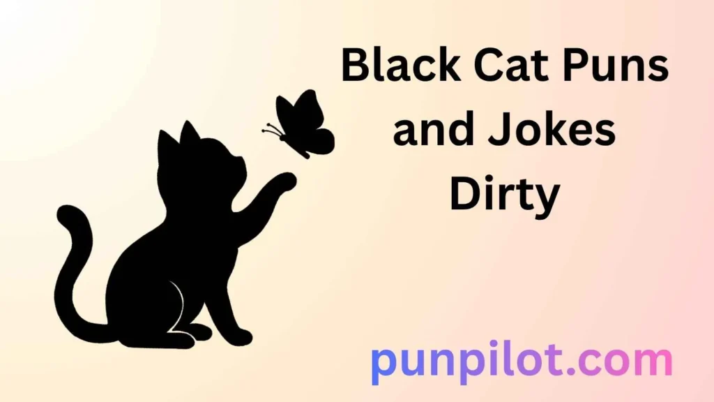 Black Cat Puns and Jokes Dirty