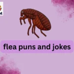 flea puns and jokes