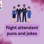 flight attendant puns and jokes