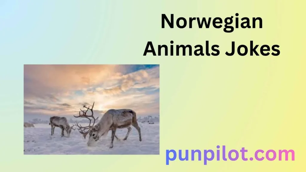 Norwegian Animals Jokes