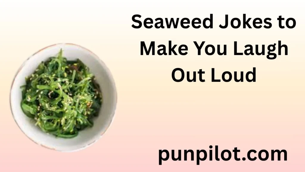 Seaweed Jokes to Make You Laugh Out Loud