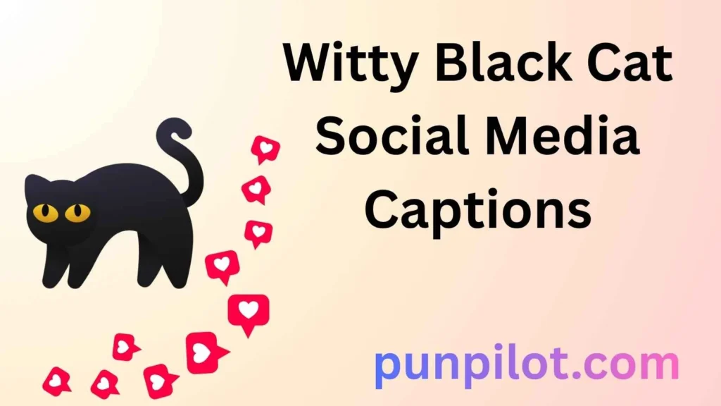 Witty Black Cat Social Media Captions