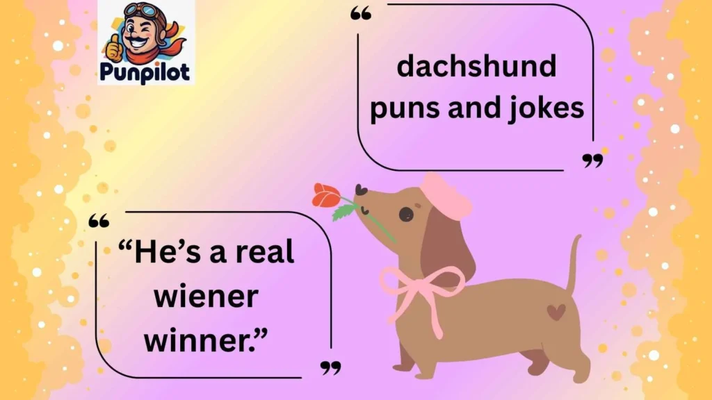 dachshund puns and jokes