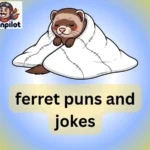 ferret puns and jokes