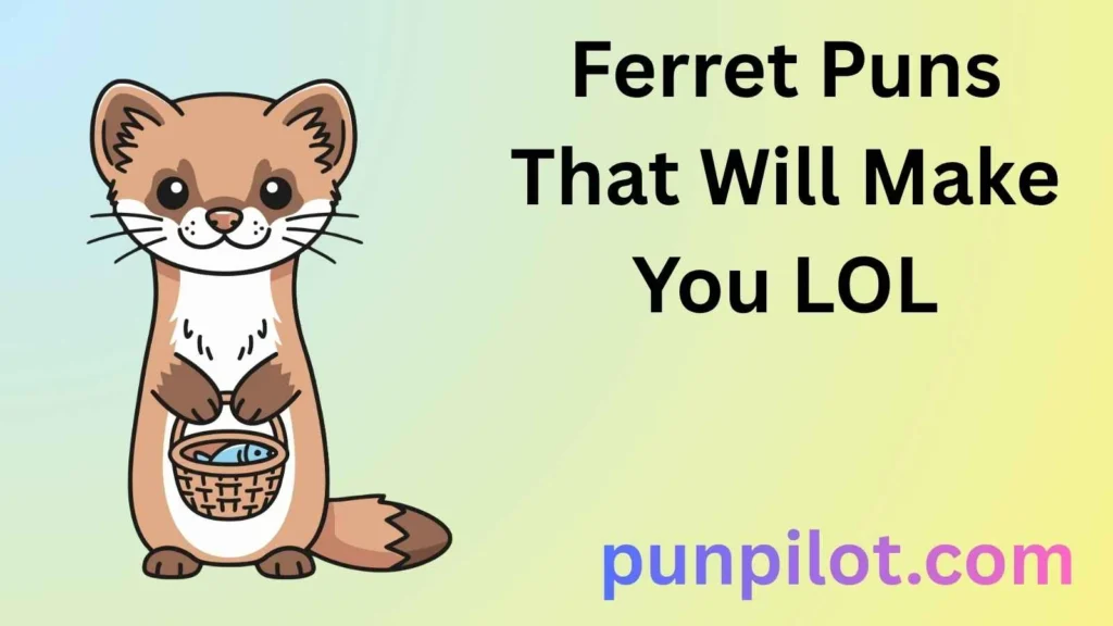 Ferret Puns That Will Make You LOL