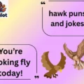 hawk puns and jokes