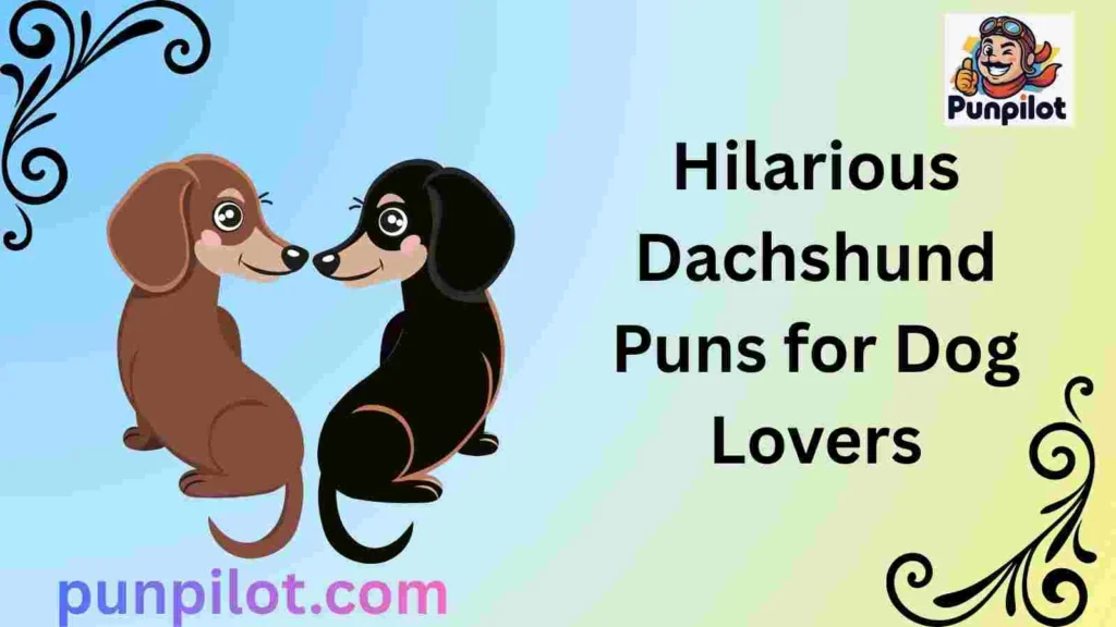 Hilarious Dachshund Puns for Dog Lovers