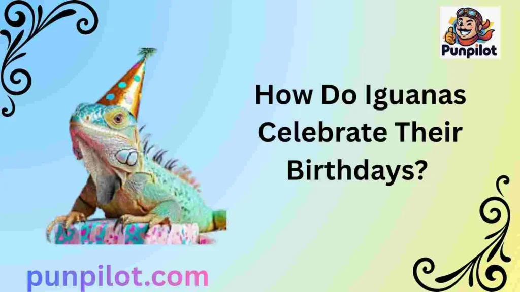 How Do Iguanas Celebrate Their Birthdays? 
