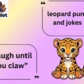 leopard puns and jokes