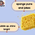 sponge puns and jokes