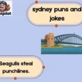 sydney puns and jokes