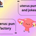 uterus puns and jokes