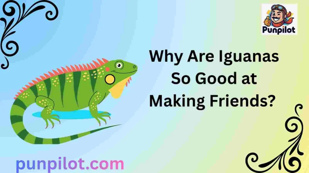 Why Are Iguanas So Good at Making Friends? 