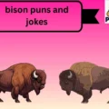 bison puns and jokes