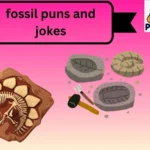 fossil puns and jokes