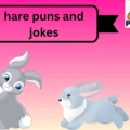 hare puns and jokes