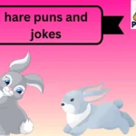 hare puns and jokes