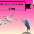 heron puns and jokes