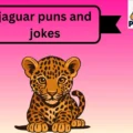 jaguar puns and jokes