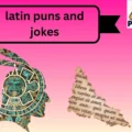 latin puns and jokes