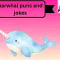 narwhal puns and jokes