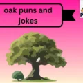 oak puns and jokes