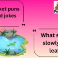 pond puns and jokes