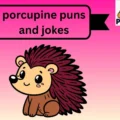 porcupine puns and jokes