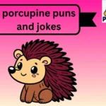 porcupine puns and jokes
