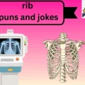 rib puns and jokes