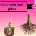 root puns and jokes