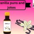 vanilla puns and jokes