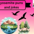 yosemite puns and jokes