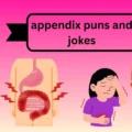 appendix puns and jokes