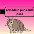 armadillo puns and jokes