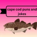 cape cod puns and jokes