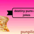 destiny puns and jokes