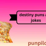destiny puns and jokes