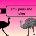 emu puns and jokes