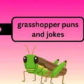 grasshopper puns and jokes