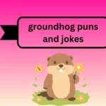 groundhog puns and jokes