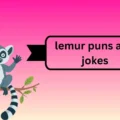 lemur puns and jokes