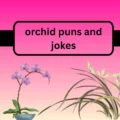 orchid puns and jokes