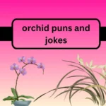 orchid puns and jokes