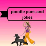 poodle puns and jokes