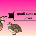 quail puns and jokes